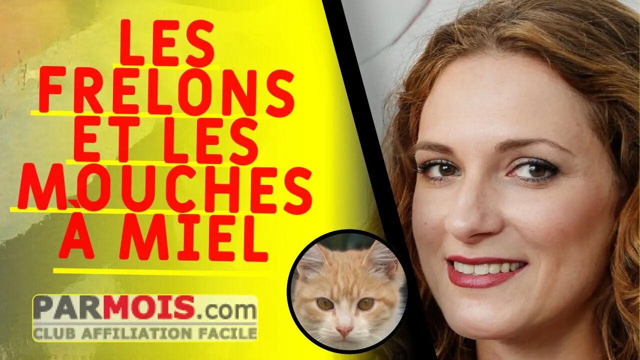 LES FRELONS ET LES MOUCHES À MIEL