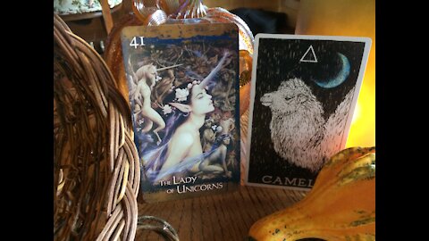 Choose Your Own Adventure: Air Signs (11/4/21)