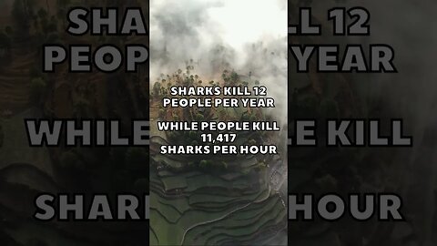 Incredible Random Facts That Will Expand Your Mind! [2023] #shorts #facts #viralshorts #fyp #life