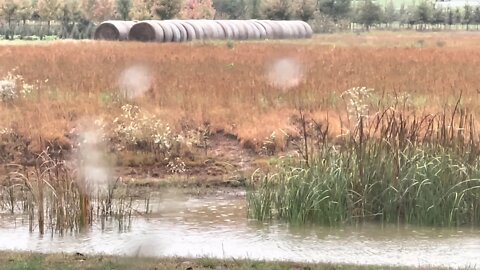 An Autumn Rain | Relaxing Nature Sounds | Rainy Day Ambience | No Music | No Loop