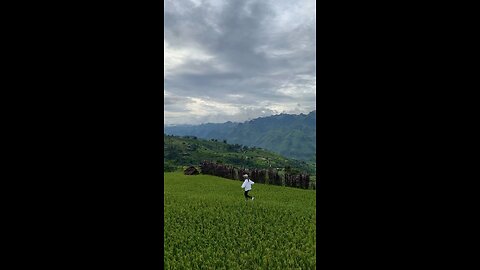 Hello Viet Nam
