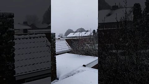 Best Snow in Holland #dutch #snowfall #bike #shorts #cycle #weather #white #snew #amsterdam #utrecht
