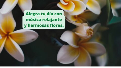 Alegra tu día con música relajante y hermosas flores.