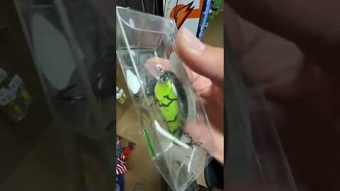 Hand painted CRANK BAIT LURE