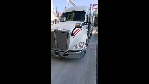 bag chasers only #rookietrucker #trucklife #trucker #trucking