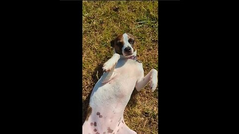 Princess found sun bathing
