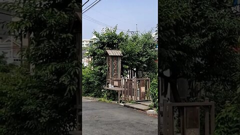 군산 절골길