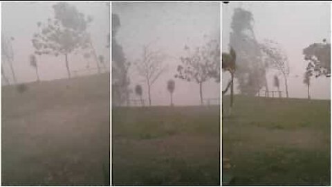 Spaventosa tempesta colpisce São Paulo, Brasile