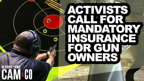 Activists call for mandatory insurance for gun owners