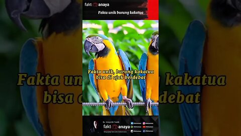 Fakta unik tentang burung kakatua #short