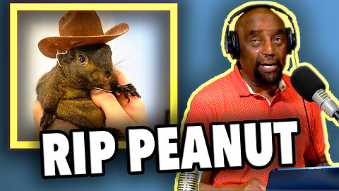 REST IN PEACE PEANUT THE SQUIRREL | JLP