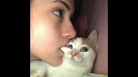 Best Funny pets 2021 try not to laugh