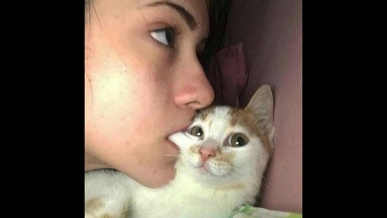 Best Funny pets 2021 try not to laugh