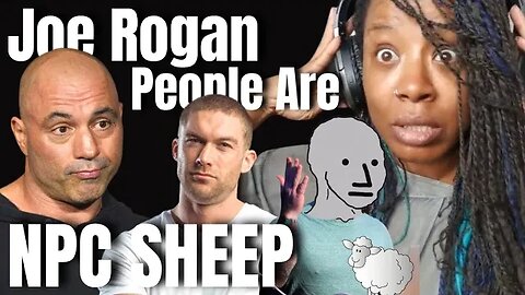 Society Full Of Mindless SHEEP - Joe Rogan Reaction - Chris Williamson - Joe Rogan