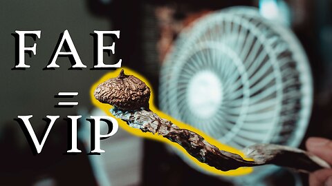 An Introduction To Growing Mushrooms: The Importance of Fresh Air Exchange Episode 13 (2021)