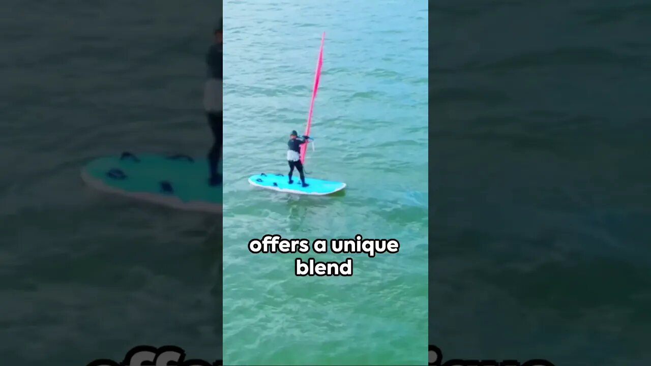 Riding Ocean Waves, A Look into Marine Life.