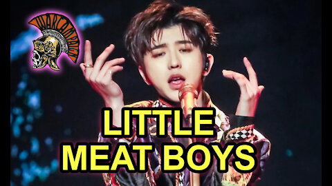 CHINA'S "LITTLE FRESH MEAT BOYS": WARCAMPAIGN REACTS