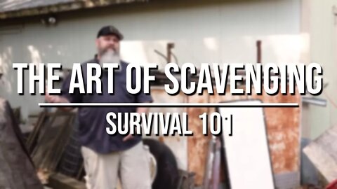 The Art of Scavenging