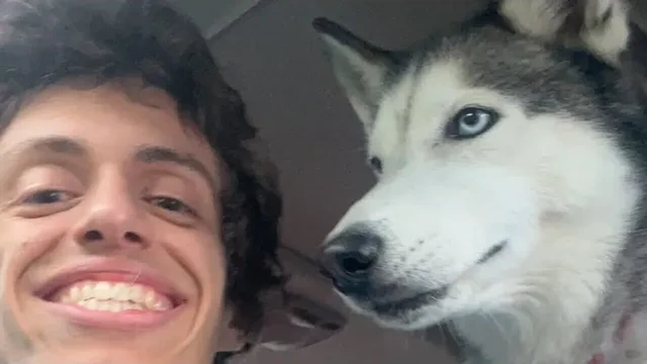 Going for a drive and my Husky keeps trying to take the wheel