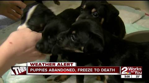 Unbelievable cruelty in Stillwater
