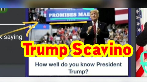 Trump Scavino