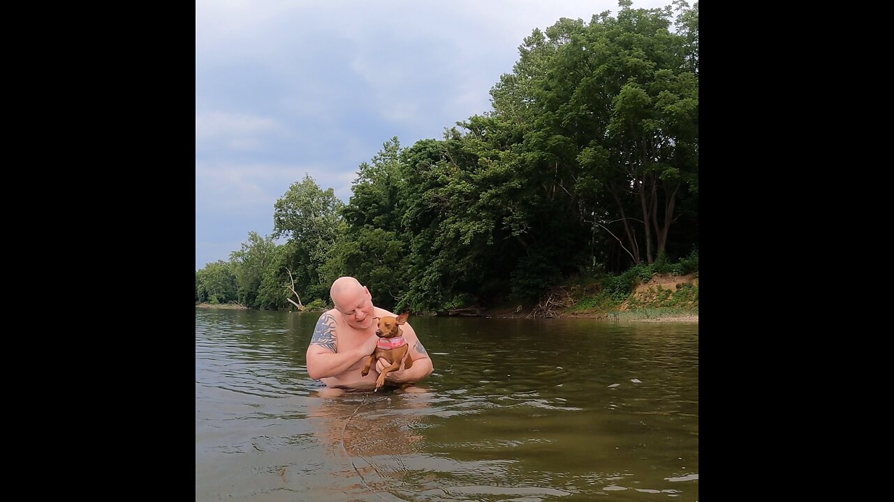 My mini Pinscher loves to swim