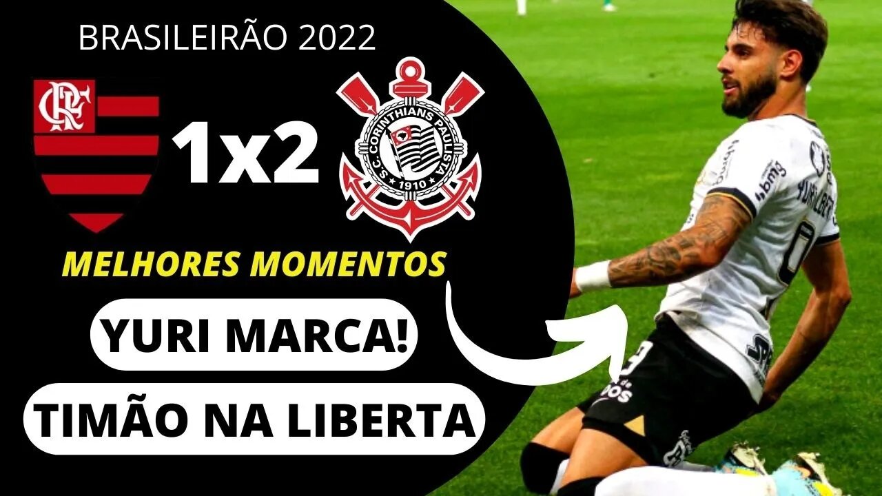 CORINTHIANS VENCE O FLAMENGO NO MARACA E SE CLASSIFICA PARA A LIBERTADORES 2023 MELHORES MOMENTOS