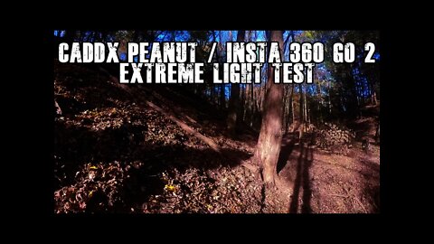 Caddx Peanut / Insta 360 Go 2 FPV Bright Light Test