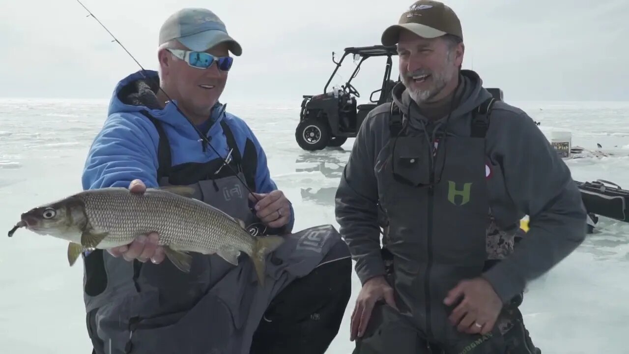 Deep water whitefish in Sturgeon Bay