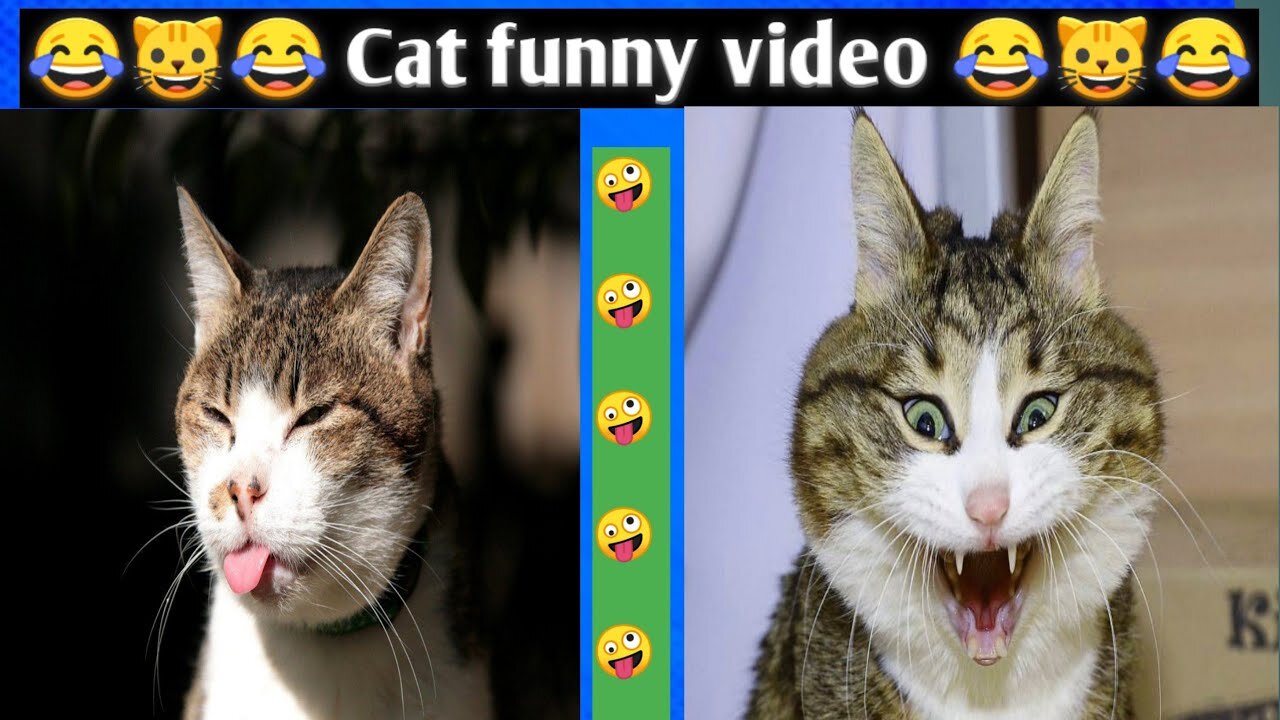 😂😂😂Cat Funny Video-2। animal funny video। comedy cat video। Subscribe may friends ❣️