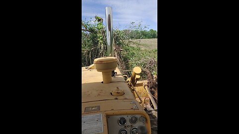 d5 caterpillar pushing brush