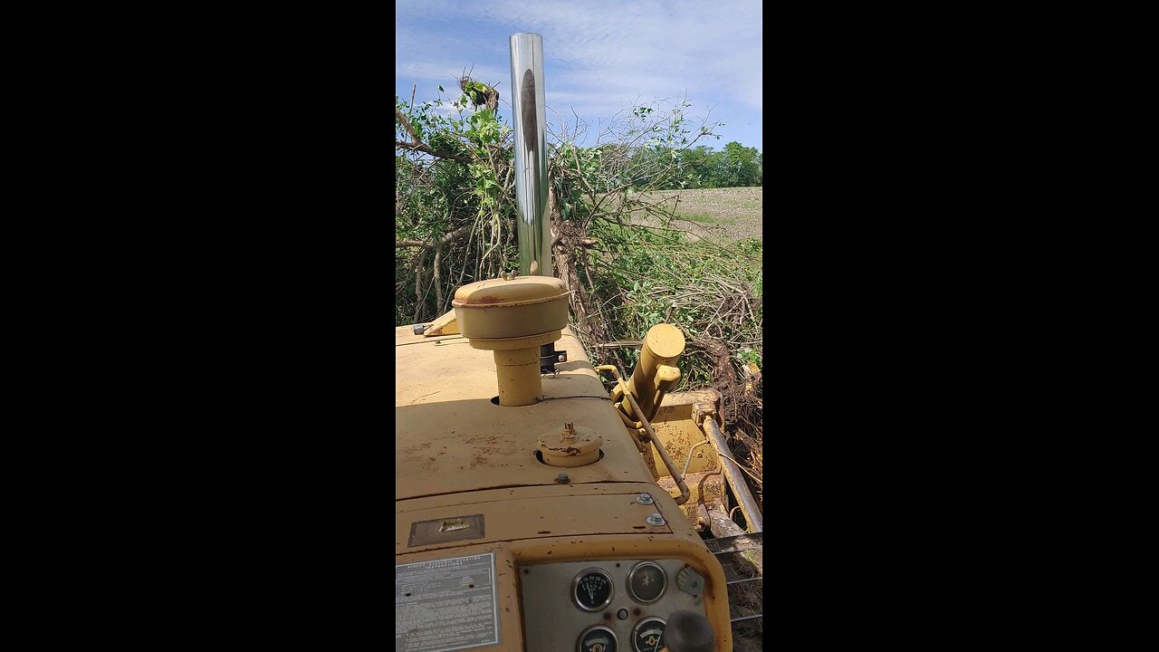 d5 caterpillar pushing brush