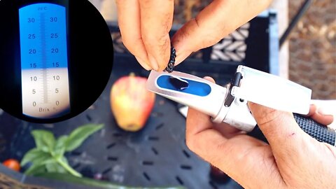 WHAT'S REALLY IN YOUR FOOD? How to Use a BRIX Meter
