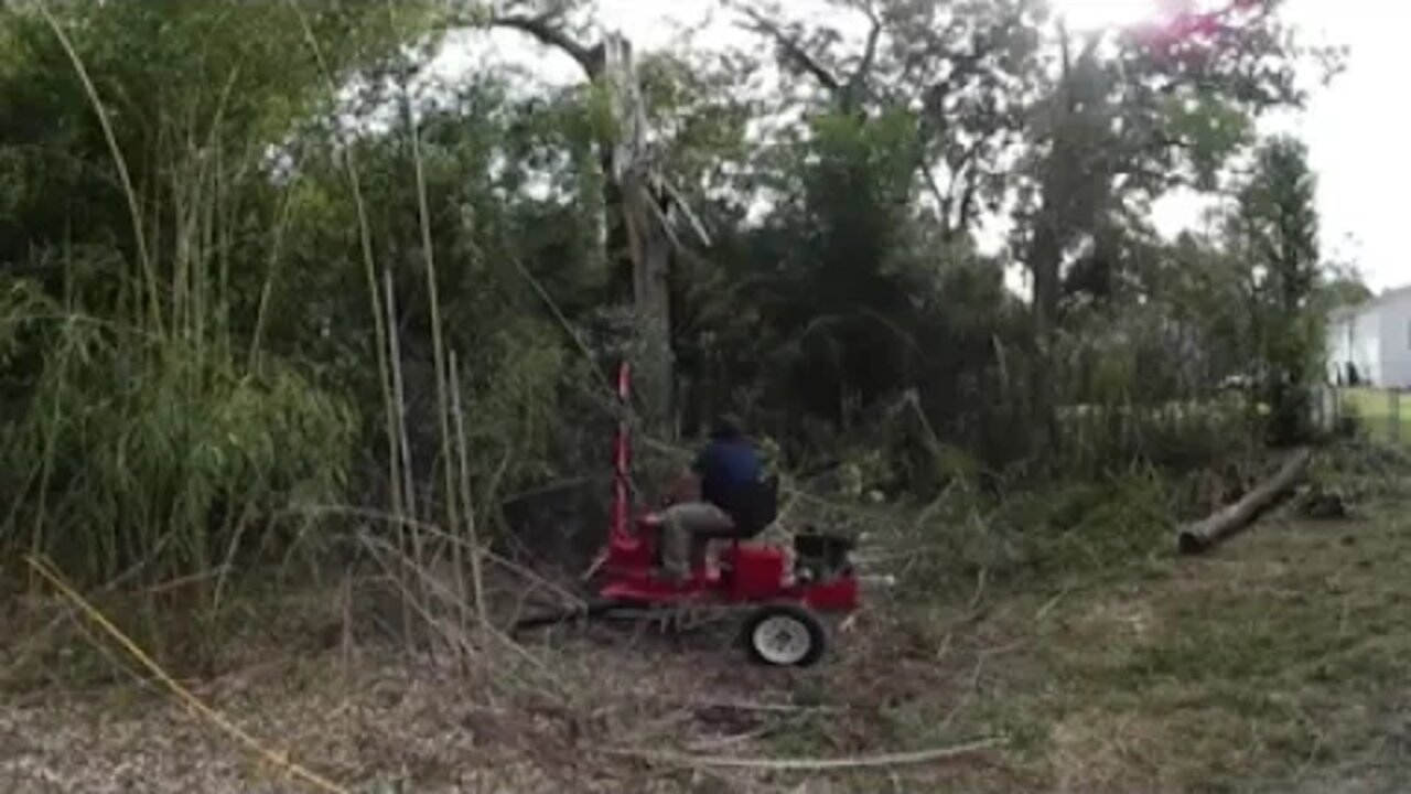 Harbor Freight Backhoe/Trencher cleaning up Bamboo