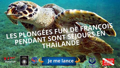 Les plongées fun de François pendant sont séjours en Thaïlande