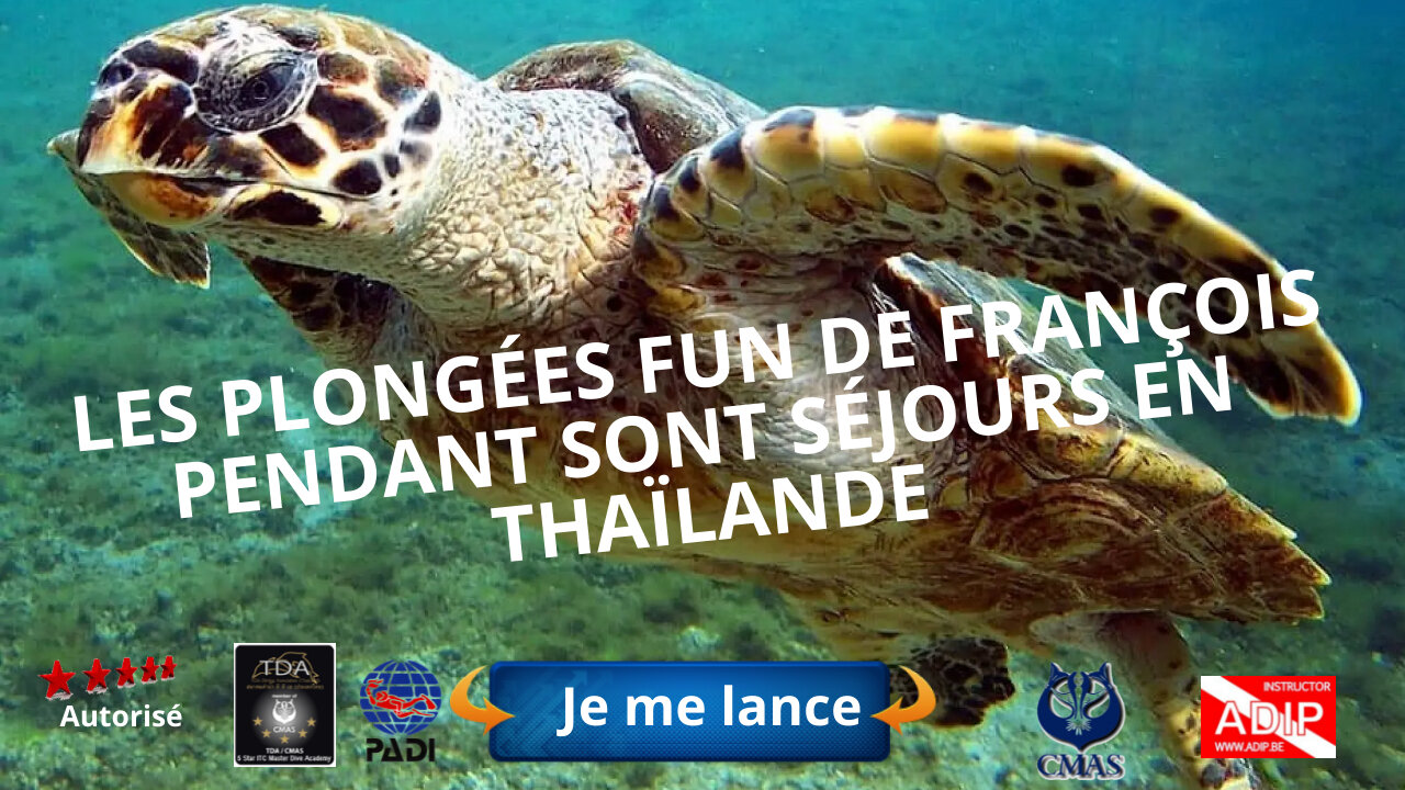 Les plongées fun de François pendant sont séjours en Thaïlande