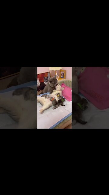 When the family gets together😾👶🏻😂