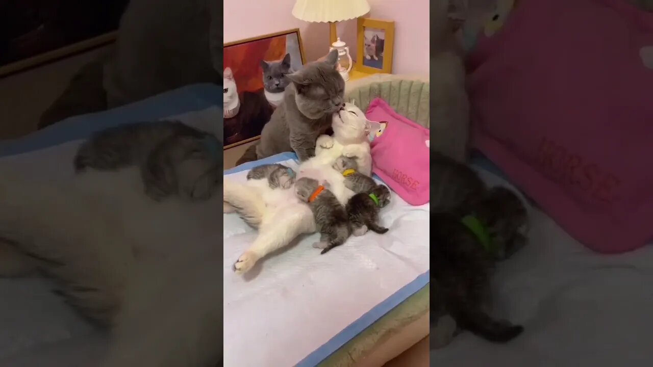 When the family gets together😾👶🏻😂