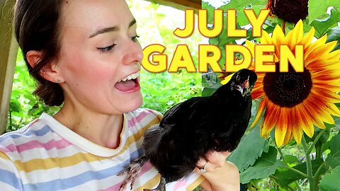 A HOT Garden Update | Chickens, Flowers, & So Many Tomatoes | Let's Talk IBD