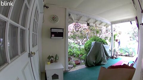 NORTH_VIDEO_DOOR_BELL_2023-05-02T13_17_55-0400.mp4
