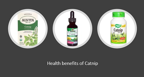 Catnip - Herbal Medicine - Benefits, Uses & Side Effects