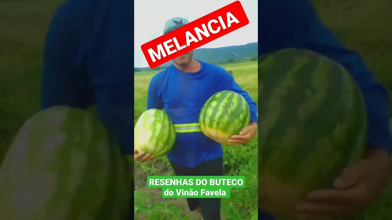 TEMPO DE MELANCIA