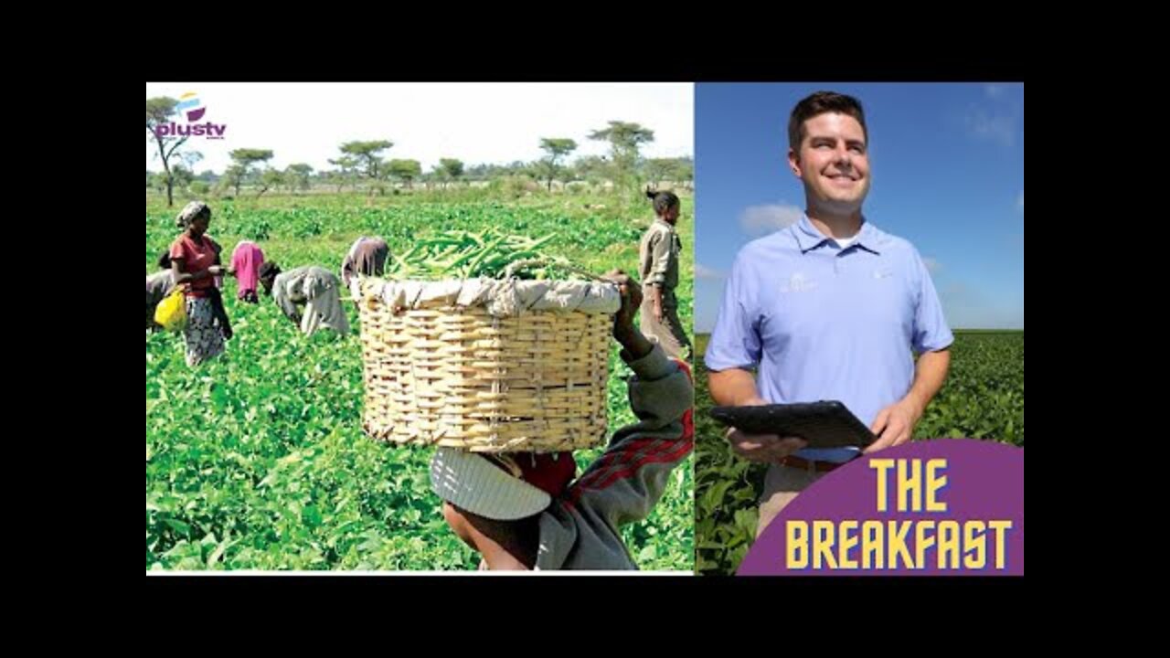 Agriculture: F.G Bans Direct Trade Between Farmers, Foreigners | THE BREAKFAST