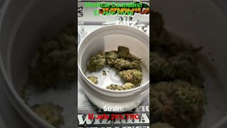 El Jefe 24% THC Medical Cannabis #shorts