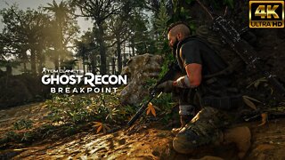 Ghost Reacon Breakpoint 4K UHD #1