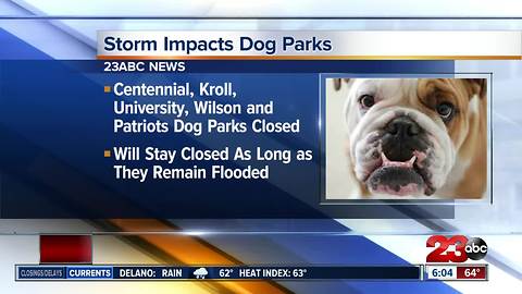 Storm impacts dog parks