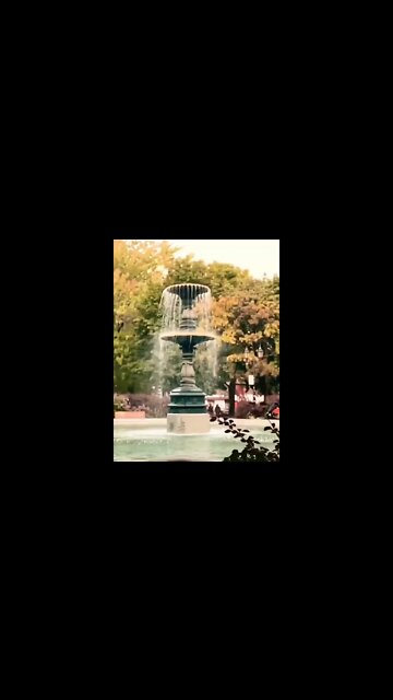 Majestic St. Louis Fountain #shorts