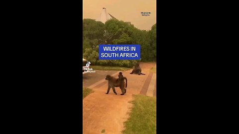 Wildfires in South Africa