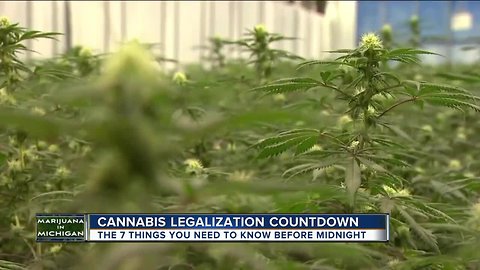 7 last minute things you need to know about recreational marijuana in Michigan