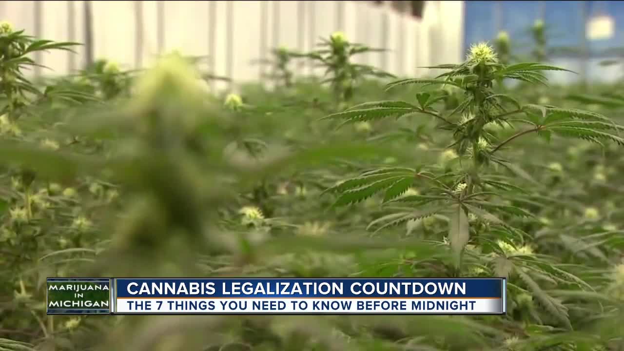 7 last minute things you need to know about recreational marijuana in Michigan